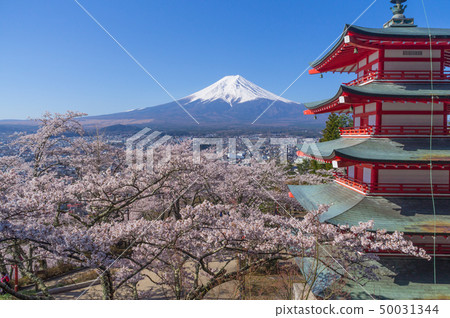 富士山,五層寶塔和櫻花 富士山,五層寶塔和櫻花 50031344