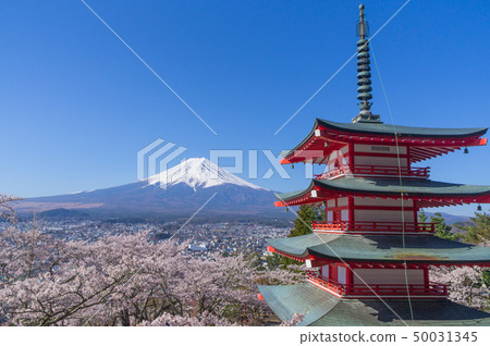 富士山,五層寶塔和櫻花 富士山,五層寶塔和櫻花 50031345