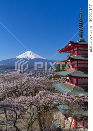 富士山,五層寶塔和櫻花 富士山,五層寶塔和櫻花 50031347