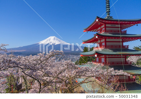 富士山,五層寶塔和櫻花 富士山,五層寶塔和櫻花 50031348