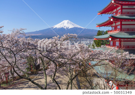 Mt.Fuji, the five-storied pagoda and cherry blossoms Mt.Fuji, the five-storied pagoda and cherry blossoms 50031349