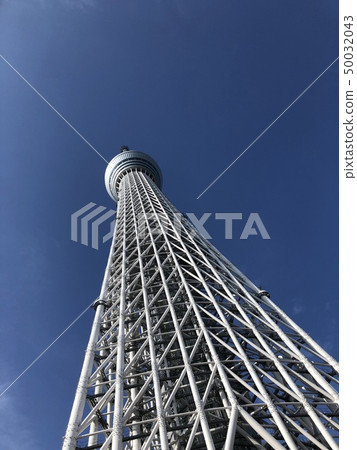 天空樹 50032043