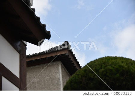 天堂 50033133