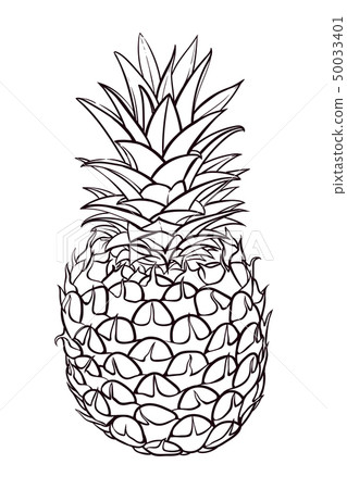 Hand drawn illustration of pineapple. Vector picture Hand drawn illustration of pineapple. Vector picture 50033401