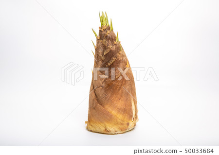 Bamboo shoots 50033684