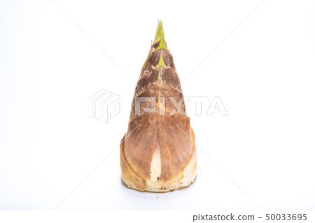 Bamboo shoots 50033695