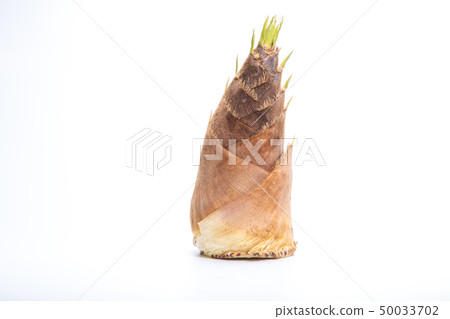 Bamboo shoots 50033702