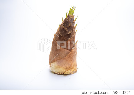 Bamboo shoots 50033705