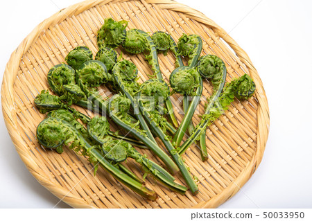 Kogomi野菜 Kogomi野菜 50033950
