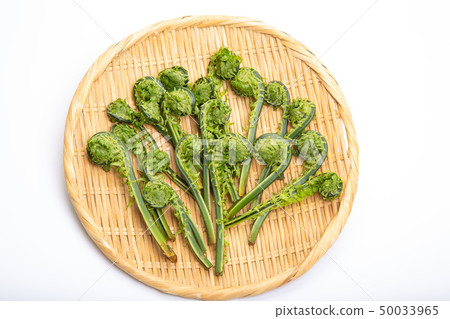 Kogomi wild vegetables 50033965