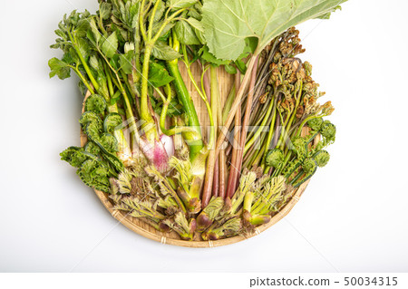 Assorted Yamana Assorted Yamana 50034315