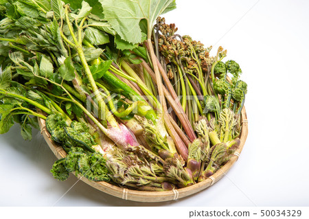 Assorted Yamana 50034329