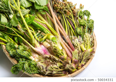 Assorted Yamana 50034331