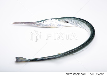 Datsu fish 50035284