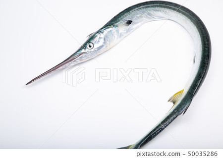 Datsu fish 50035286