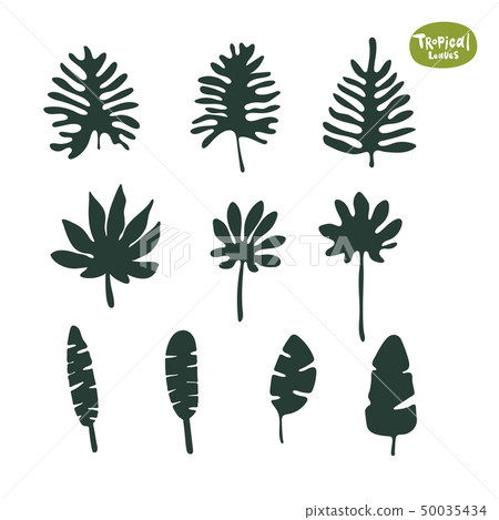 Tropical doodle leaves collection. Set of vector isolated silhouettes on white background 50035434