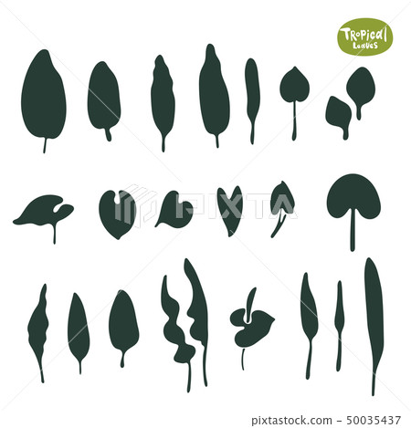 Tropical doodle leaves collection. Set of vector isolated silhouettes on white background 50035437