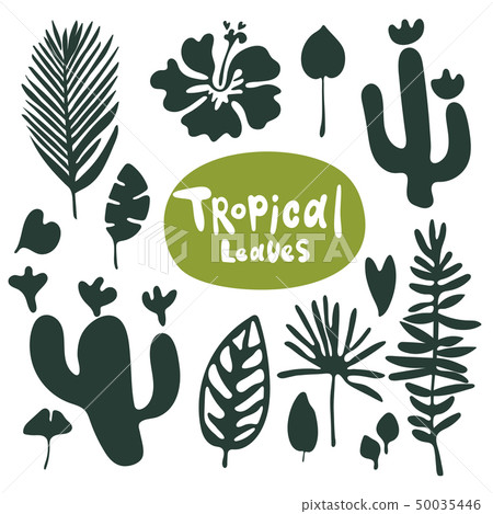 Tropical doodle leaves collection. Set of vector isolated silhouettes on white background Tropical doodle leaves collection. Set of vector isolated silhouettes on white background 50035446