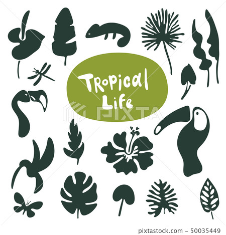 Tropical doodle leaves collection. Set of vector isolated silhouettes on white background Tropical doodle leaves collection. Set of vector isolated silhouettes on white background 50035449
