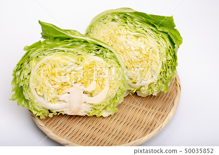 捲心菜 50035852