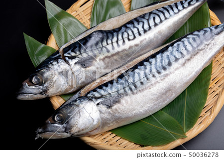 Salted salmon 50036278