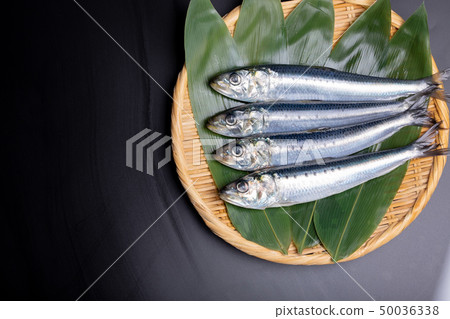 沙丁魚 沙丁魚 50036338