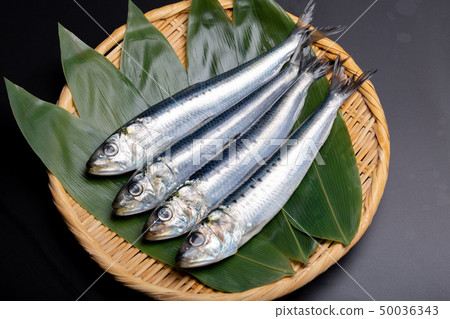 沙丁魚 沙丁魚 50036343