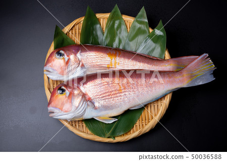 甜杏仁成分 50036588