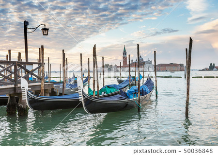 Morning in Venice 50036848
