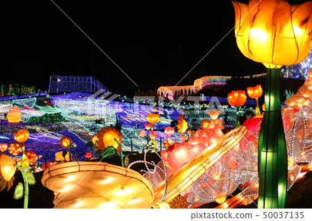 illumination 50037135