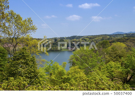 Oita Agricultural and Cultural Park 50037400