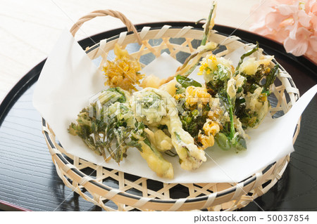 野生植物天婦羅 50037854