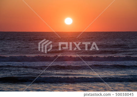 Kujukurihama's Asahi (Tsurigasaki coast, Ichinomiya town, Chiba prefecture) *Photographed in April 2019 Kujukurihama's Asahi (Tsurigasaki coast, Ichinomiya town, Chiba prefecture) *Photographed in April 2019 50038045