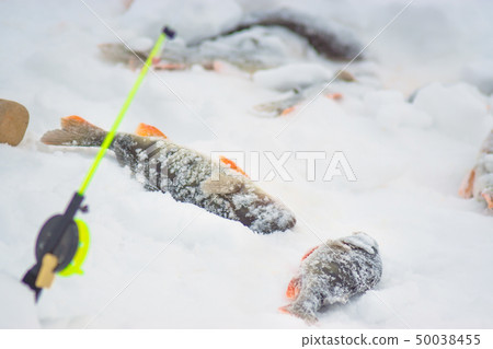 fish on winter fishing 50038455