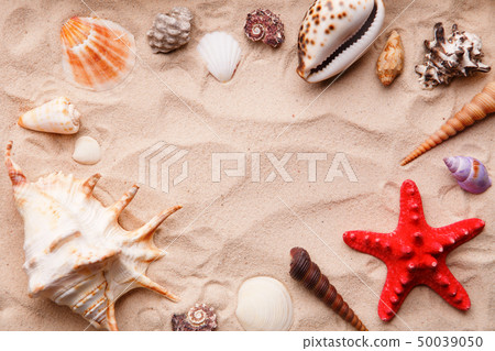 Sea shells and starfish on sand. 50039050