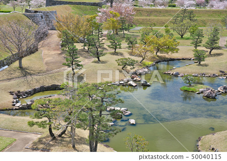 [青古城本丸花園]兵庫縣青古城神谷屋 50040115