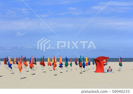 Early morning coast Early morning coast 50040233