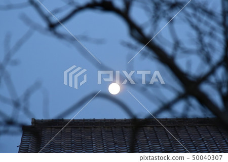 (Chiba / Isumi City) [Scene of March] Soft light of moon / Kakigi shadow on the roof of neighbor 50040307