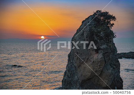 [Tateishi of Akiya] 50040756