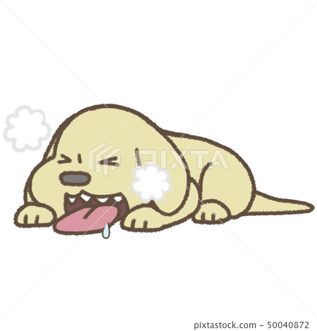 一條隱晦的狗的例證 50040872