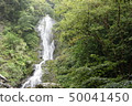 Amami Oshima water fall waterfall 50041450
