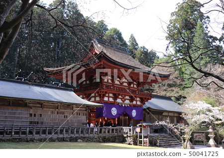 Niyu Tokyo Hiya Shrine · Spring scenery 50041725