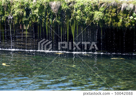 Nature Nature 50042088