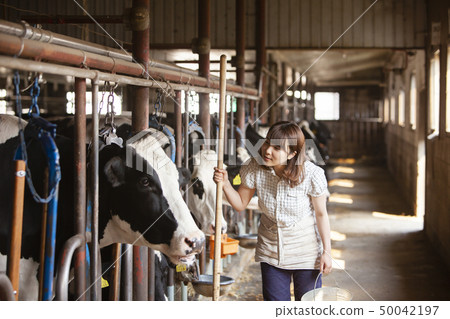 牛肉婦女 50042197