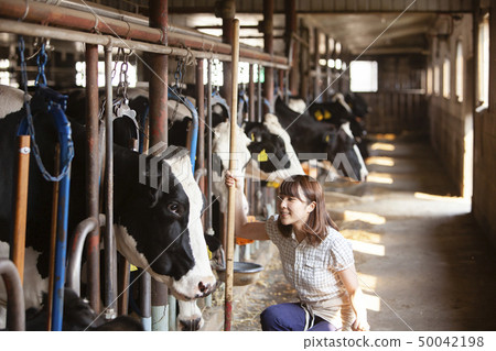 Beef women Beef women 50042198