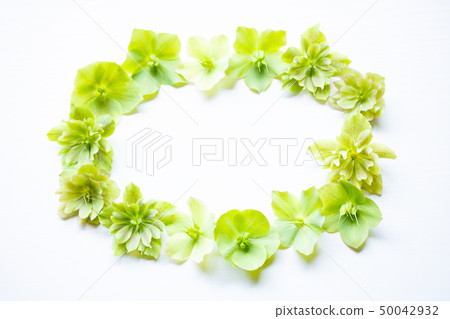 聖誕節玫瑰色花由種子袋子製成 聖誕節玫瑰色花由種子袋子製成 50042932