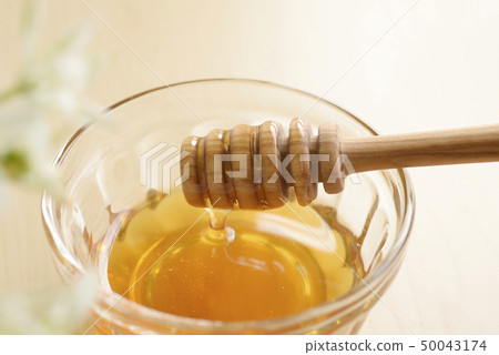 Honey Honey Honey Honey Honey Dipper Health Food Food Food Sweet Natural Honey Honey Honey Honey Honey Dipper Health Food Food Food Sweet Natural 50043174