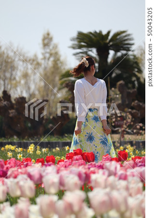 鬱金香和婦女 50043205