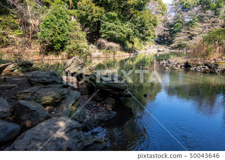 Hitokuen Shinji Pond (Sanshiro Pond) Hitokuen Shinji Pond (Sanshiro Pond) 50043646