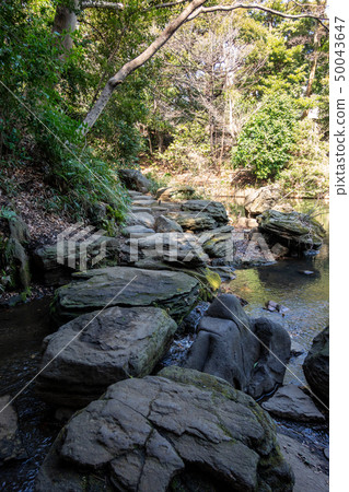 Hitokuen Shinji Pond (Sanshiro Pond) 50043647